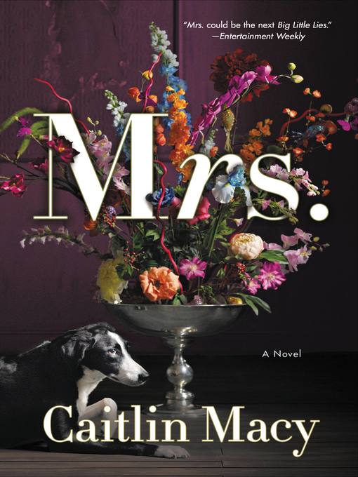 Title details for Mrs. by Caitlin Macy - Available